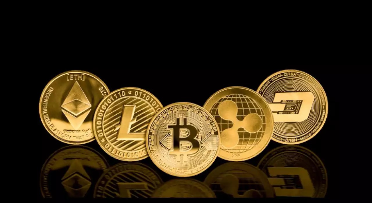 criptomonedas